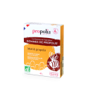gommes propolis miel gorge