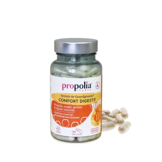Digestive Wellness capsules