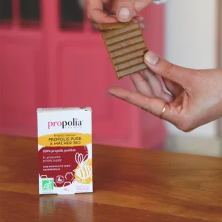 Organic pure chewable propolis 2