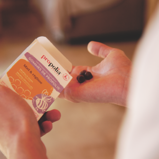 gommes propolis réglisse 2