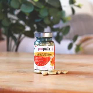 Digestive Wellness capsules 2