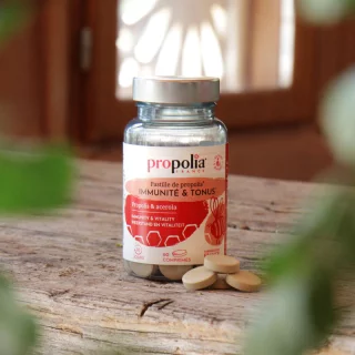 pastilles propolis 2