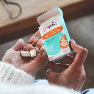 chewing-gum cannelle 2