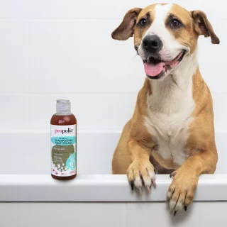 Shampoo for all coat types... 2