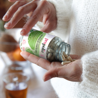 gélules propolis verte bio 2