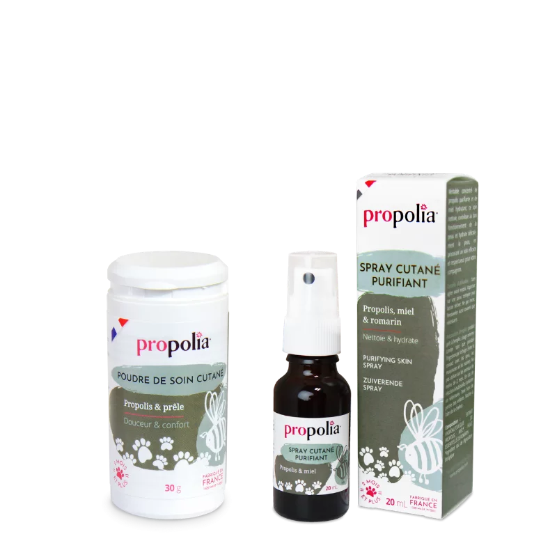 Duo Le panse bête - Animaux - Propolia