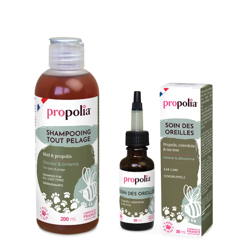 Duo De bon poil - Animaux - Propolia